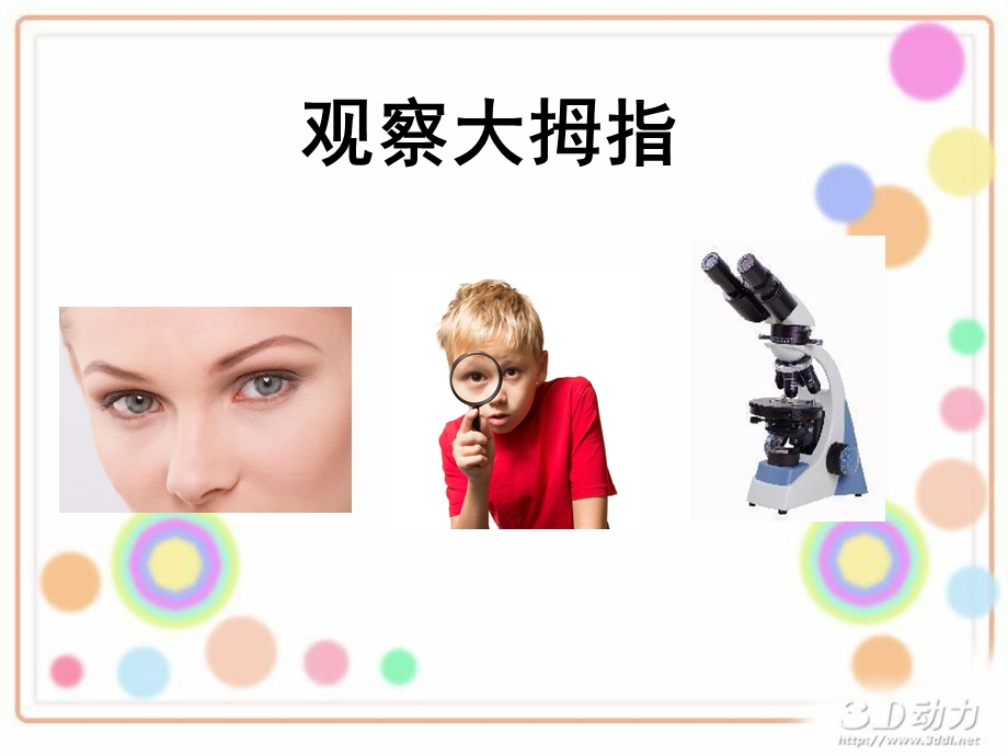 科学《借助工具观察》.ppt_第2页