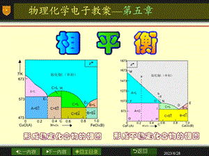 南大物化PPT05章相平衡.ppt