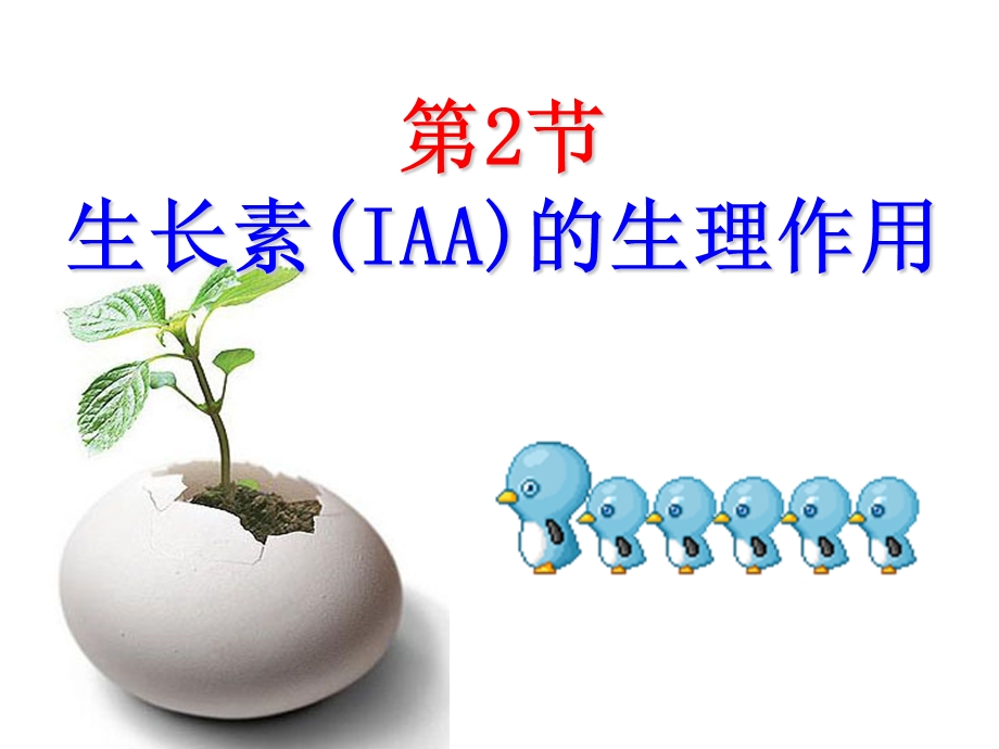 生长素(IAA)的生理作用.ppt_第1页