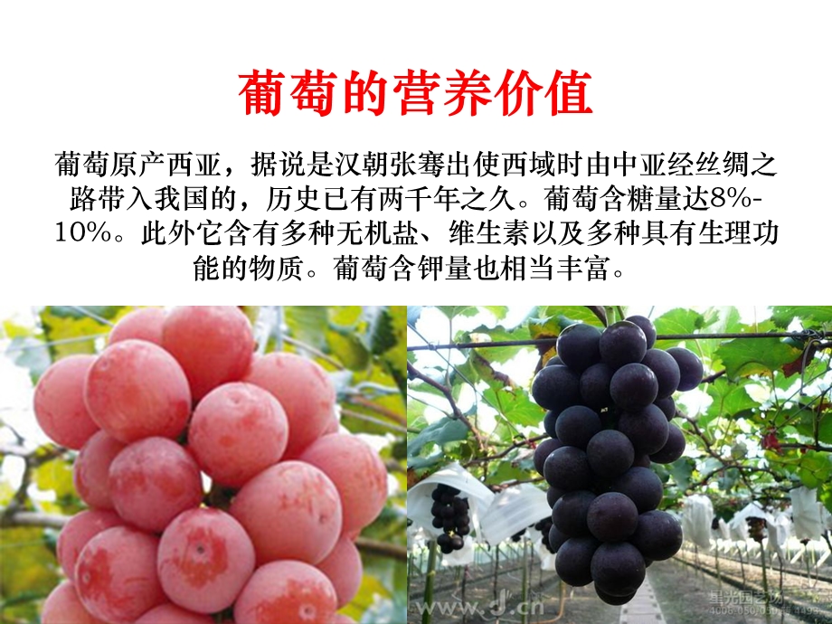 葡萄植保与施肥.ppt_第3页