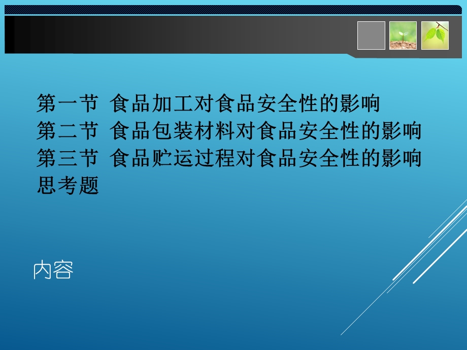 食品生产过程对食品安全性的影响.ppt_第2页