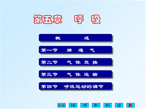 生理学课件呼吸系统自改PPT.ppt