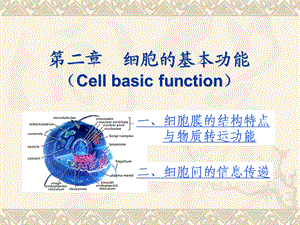 细胞的基本功能(IV).ppt