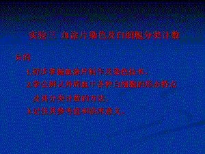 实验三福医大白细胞分类计数.ppt