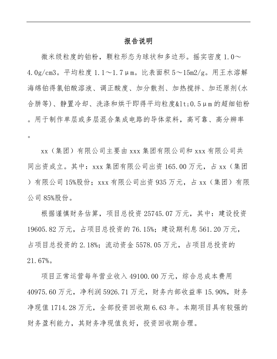 内蒙古关于成立超细铂粉公司可行性研究报告参考模板.docx_第2页