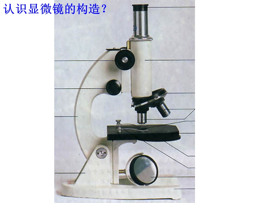 显微镜的使用复习.ppt_第2页