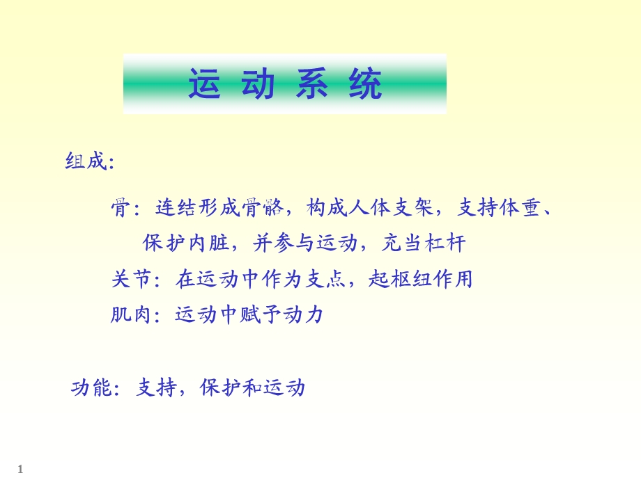 系统解剖骨学和关节学.ppt_第1页