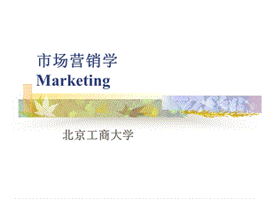 现代市场营销学(一).ppt