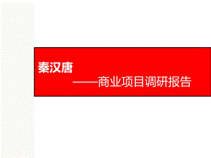 商业项目调研报告.ppt