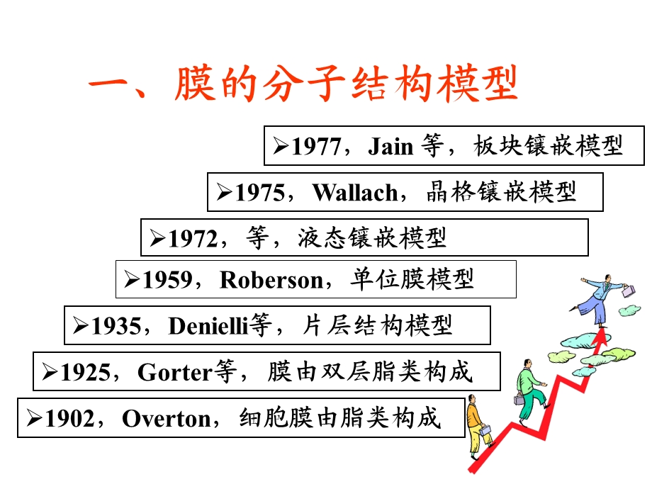 细胞膜的分子结构.ppt_第2页