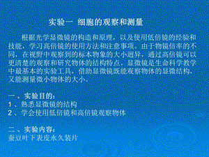 细胞的观察和测量.ppt