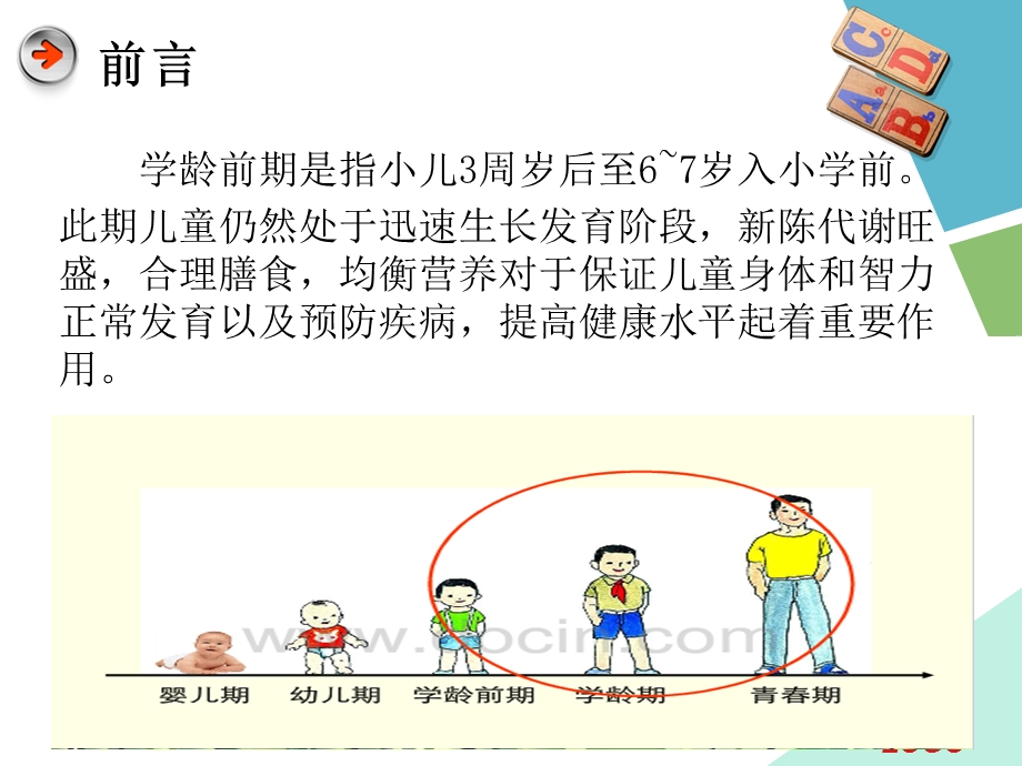 学龄前儿童营养与健康.ppt_第3页