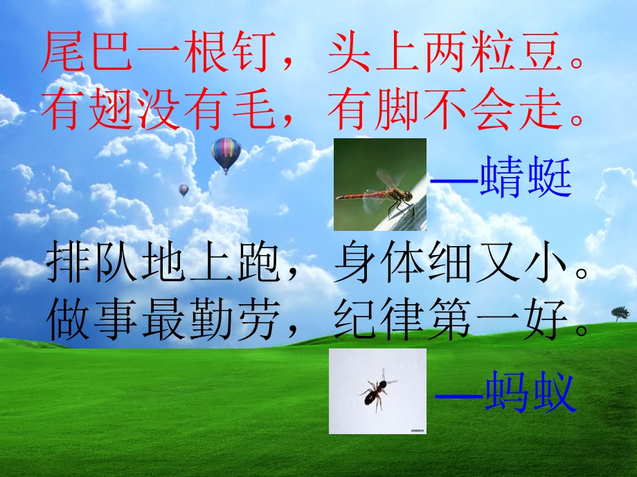 尾巴一根钉头上两粒豆有翅没有毛有脚不会走.ppt_第2页