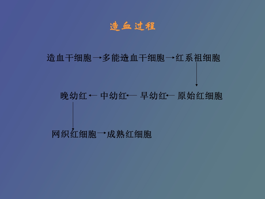 贫血的诊断思路.ppt_第3页