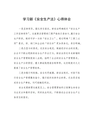 新《安全生产法》学习体会十篇.docx