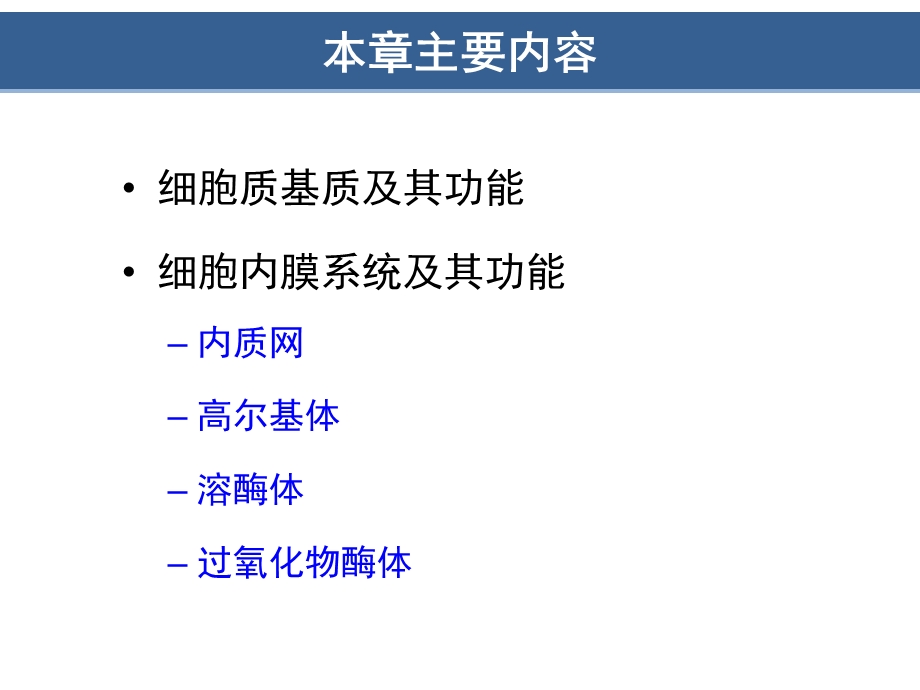 细胞质基质与内膜系统.ppt_第2页