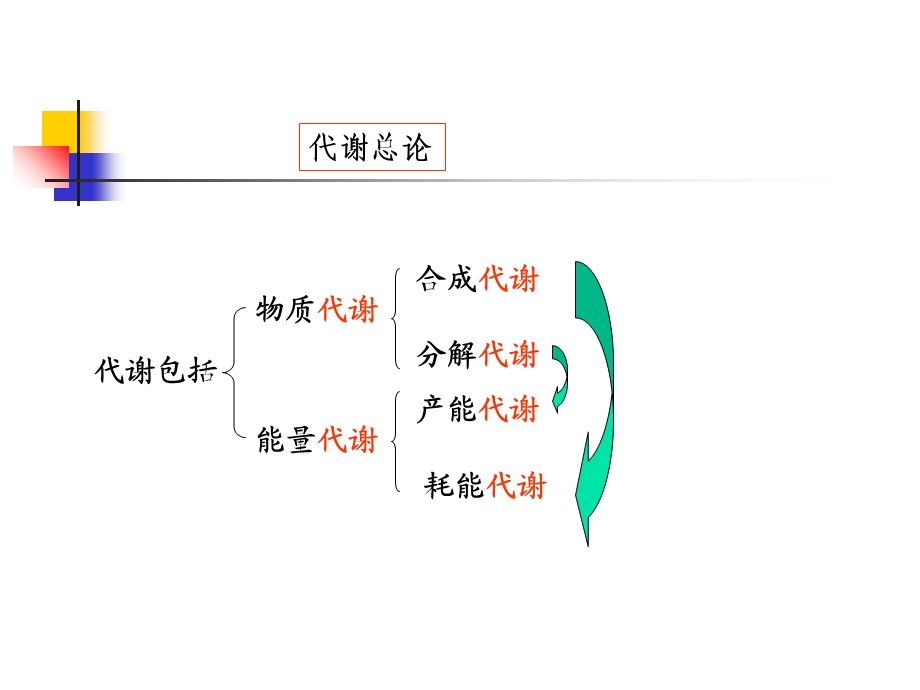 生物化学第七章糖代谢.ppt_第3页