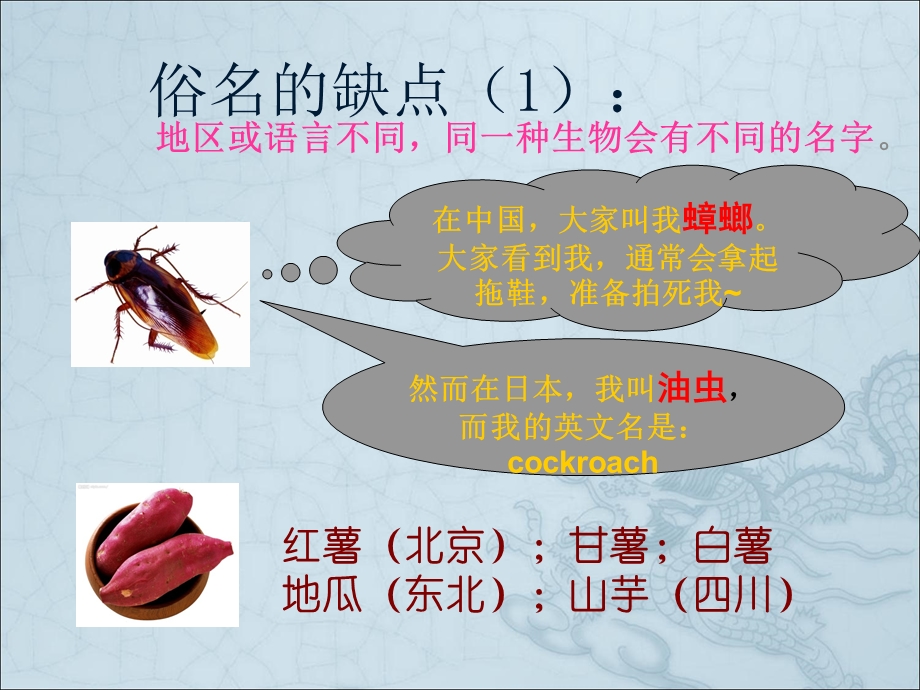 生物的分类和命名.ppt_第3页