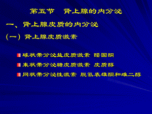 肾上腺的内分泌.ppt