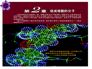 细胞中的元素和化合物(好用).ppt