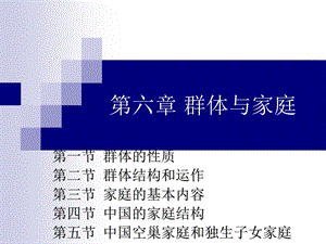 6第六章群体与家庭.ppt