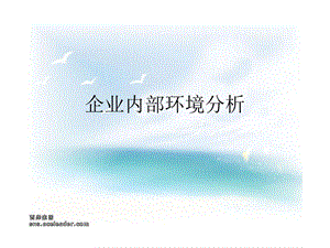 企业内部环境分析ppt.ppt