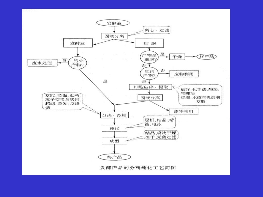 酶的分离与纯化.ppt_第2页