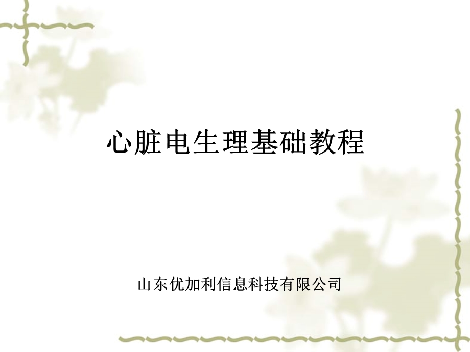 心脏电生理总结.ppt_第1页