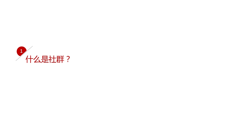 社群营销的方法、技巧与实践.ppt_第2页