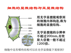 细胞的显微结构与亚显微结构.ppt