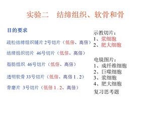 实验二结缔组织、软骨和骨.ppt