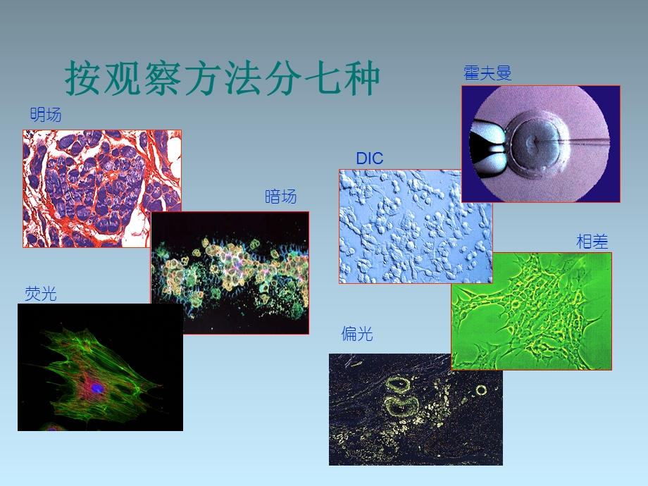 显微镜的七种观察方法.ppt_第3页