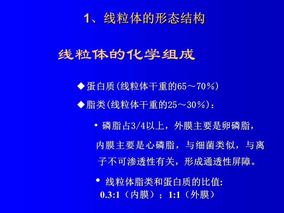 叶绿体和线粒体.ppt_第3页