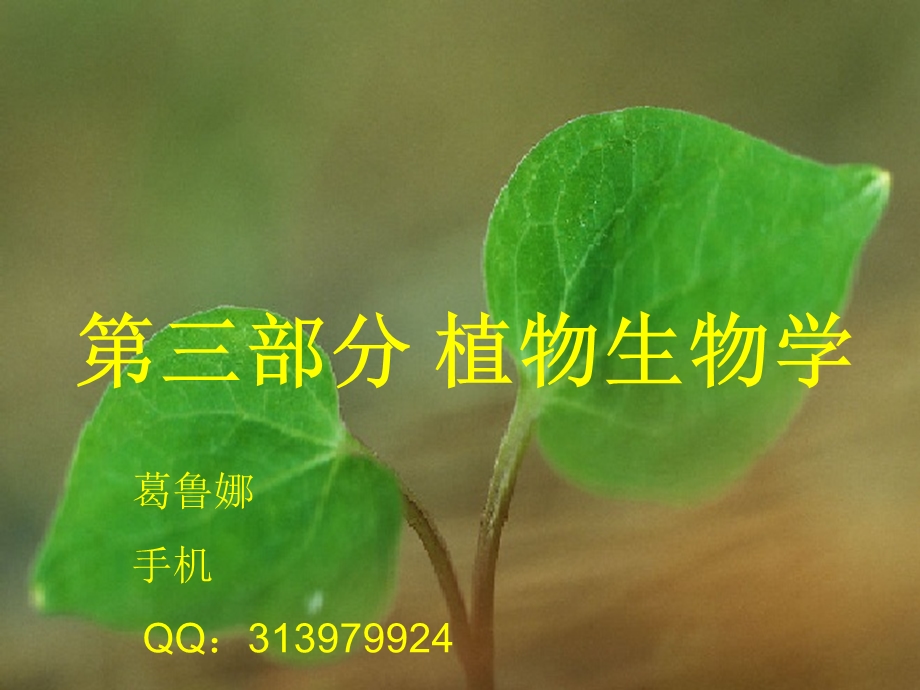 植物的组织与器官.ppt_第1页