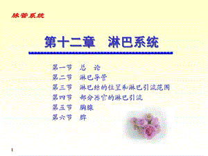 系统解剖学淋巴.ppt