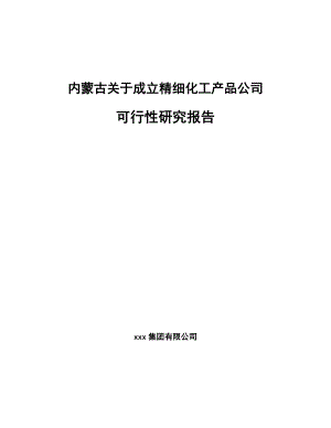 内蒙古关于成立精细化工产品公司可行性研究报告.docx