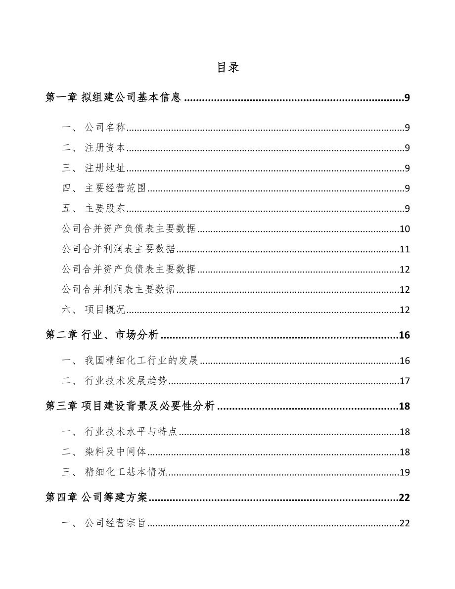 内蒙古关于成立精细化工产品公司可行性研究报告.docx_第2页