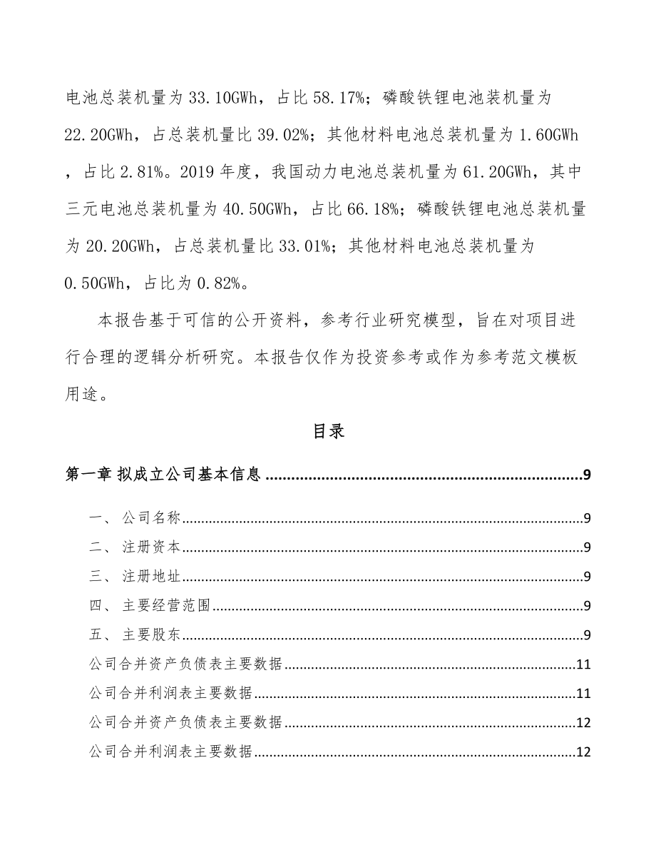 内蒙古关于成立锂电材料公司可行性研究报告.docx_第3页