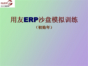 ERP理论与实践初始年.ppt