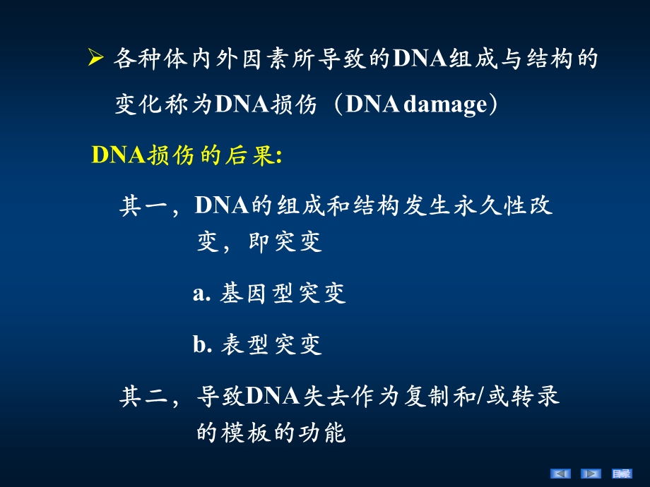 DNA损伤与修复.ppt_第2页