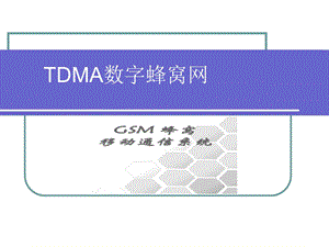 DMA数字蜂窝网.ppt