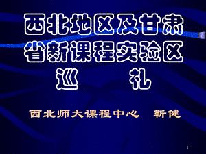 西北地区及甘肃省新课程实验区巡礼西北师大课程中心靳健.ppt