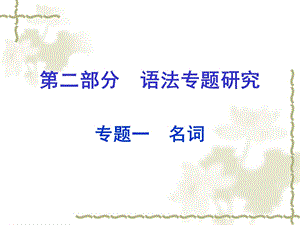 2016中考英语第二部分语法专题研究专题一名词课件人教新目标版.ppt