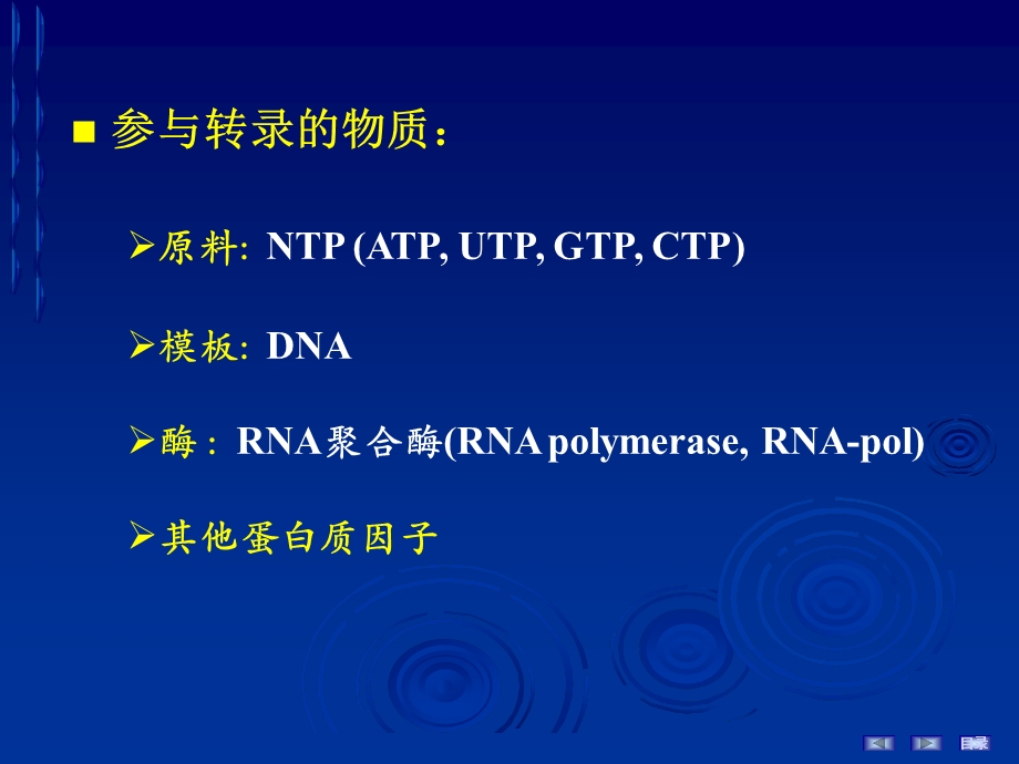 RNA的生物合成中药.ppt_第3页