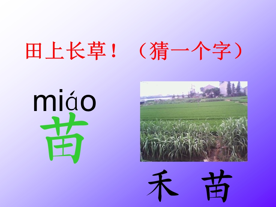 田上长草猜一个字.ppt_第2页