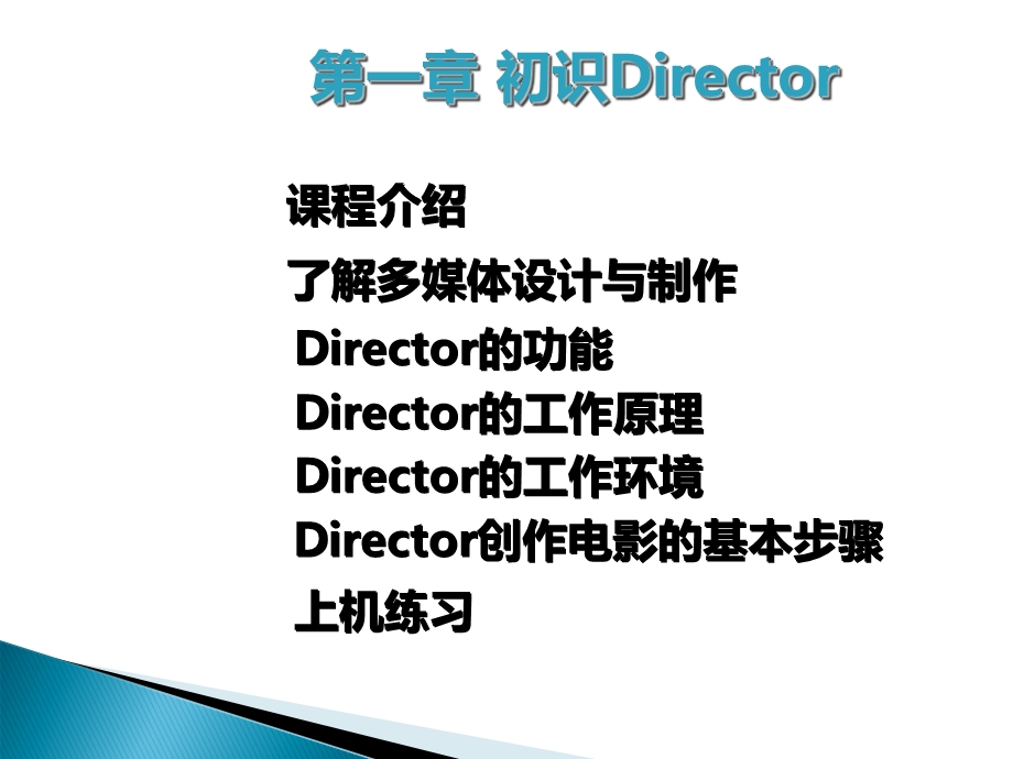 director软件简介.ppt_第3页