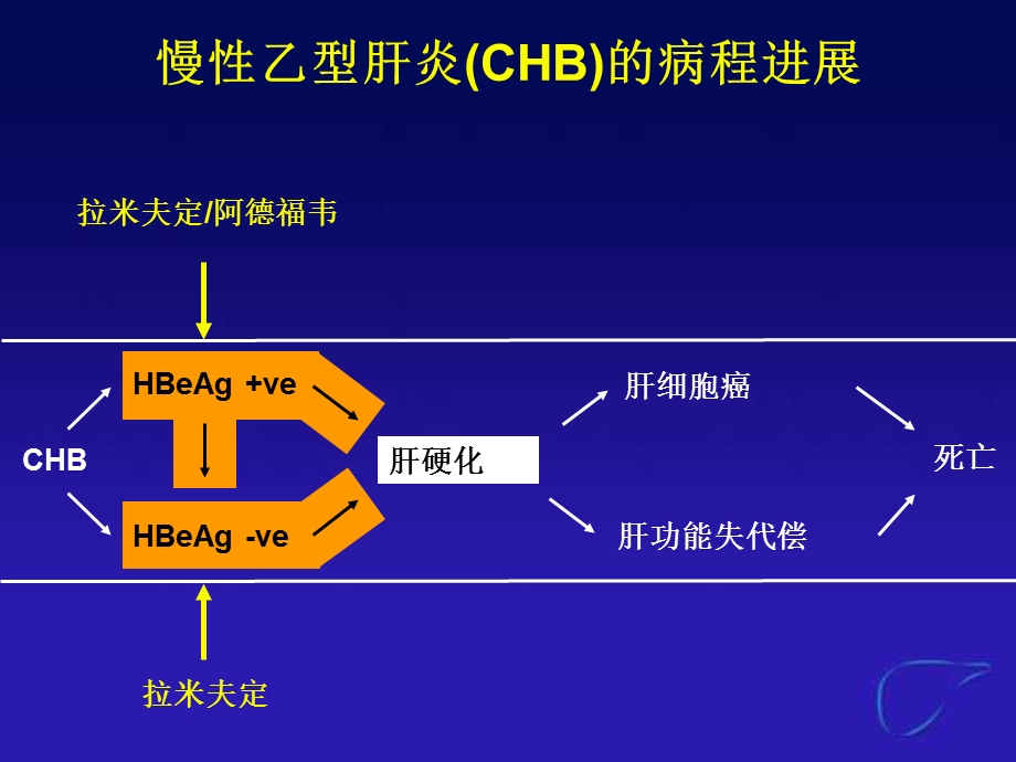 HBV相关肝硬化的治疗.ppt_第2页