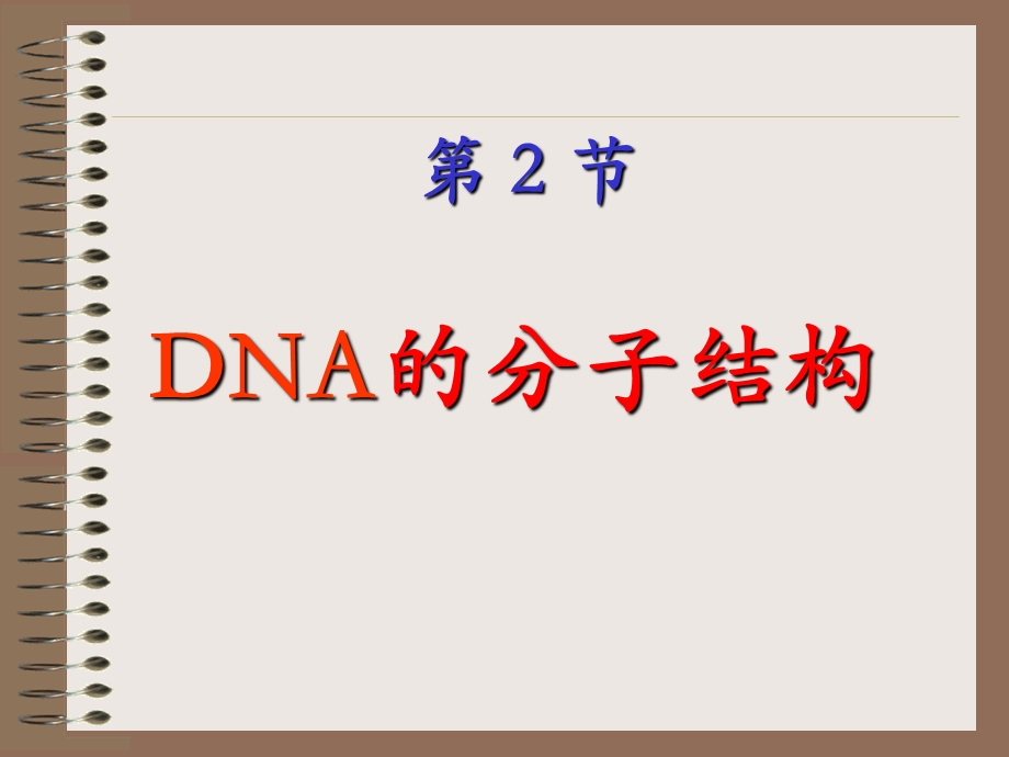 DNA分子的结构(吐血制作).ppt_第2页