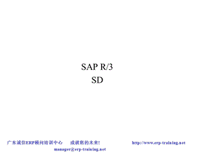 SAPSD培训资料.ppt