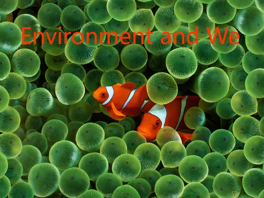 environment环境主题英文.ppt_第2页